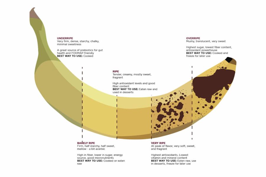 Chart showing various levels of ripeness for bananas, as well as their ideal culinary applications Caption: Bananas ripen quickly, but there are delicious ways to eat and cook with the fruit at ever stage of ripeness.
