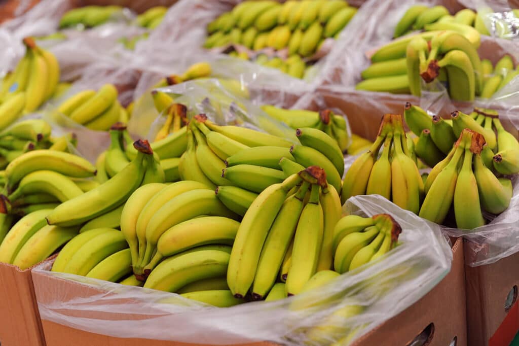 Bananas in Boxes