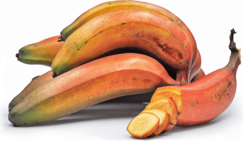 Red banana bunch with one sliced
